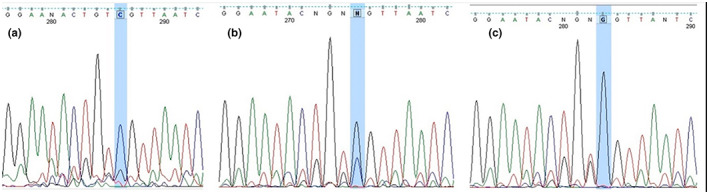 FIGURE 2