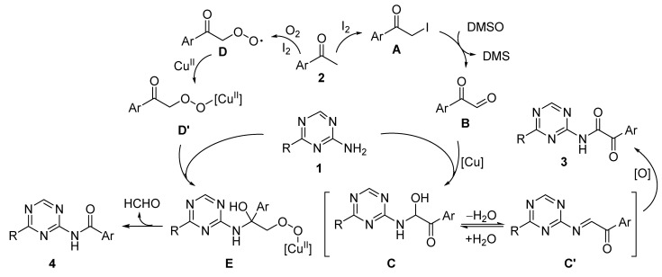 Scheme 5