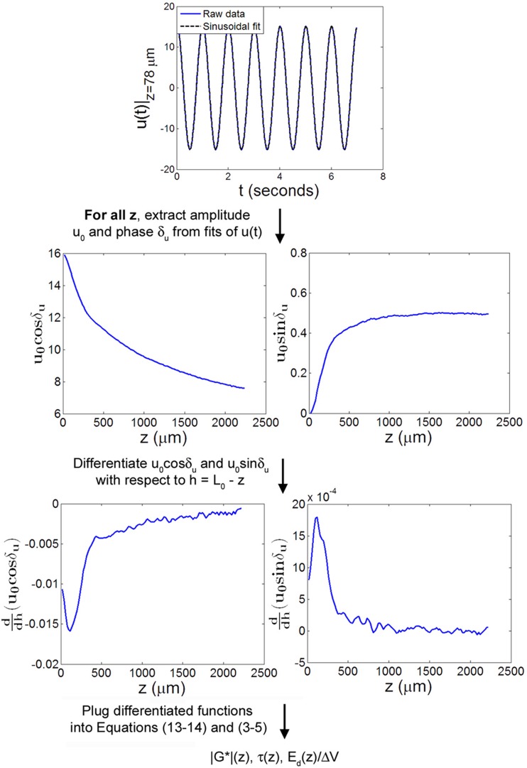 Fig. 4