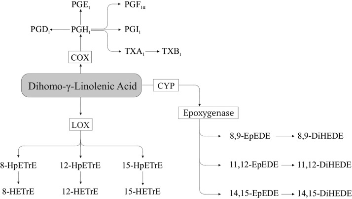 FIGURE 3