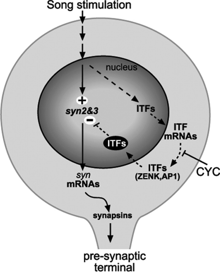 Figure 9.