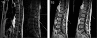 Figure 1.