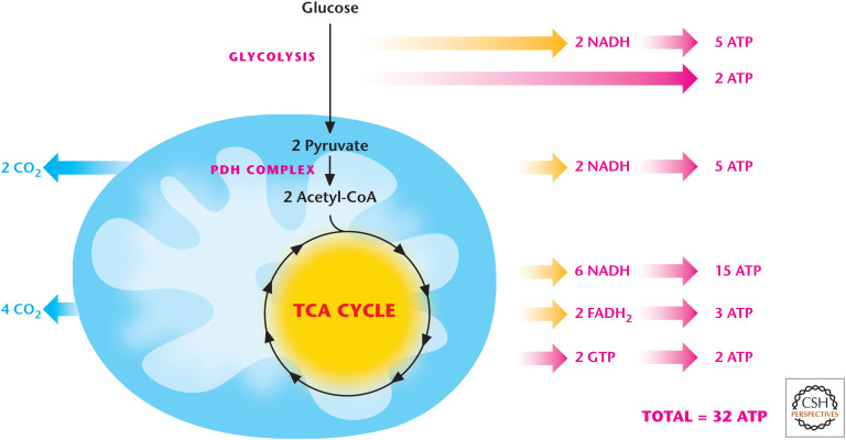 Figure 10.