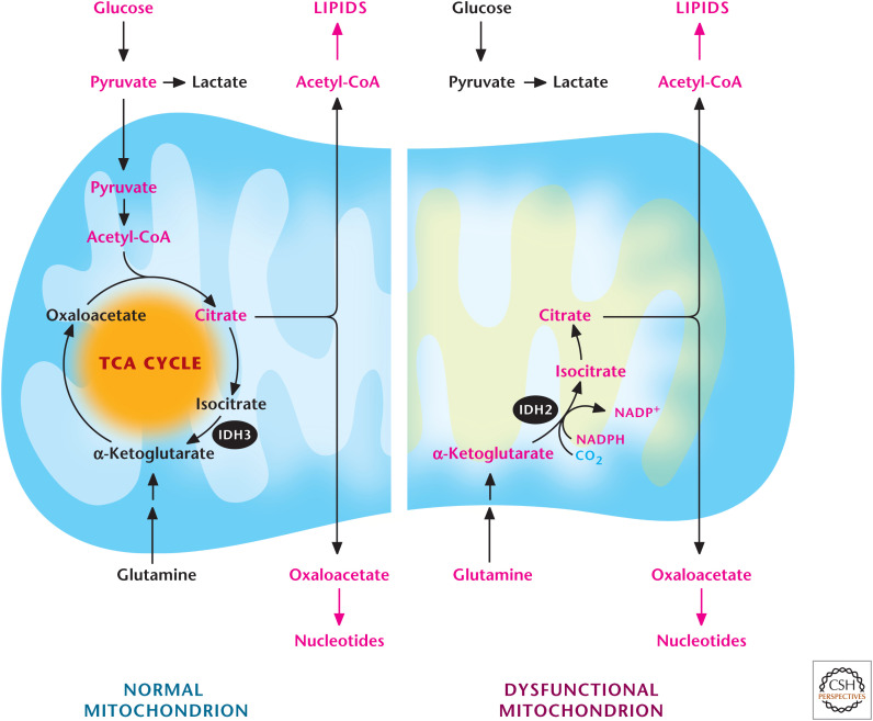 Figure 12.