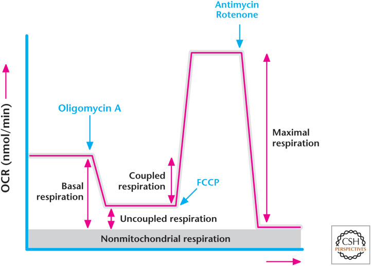 Box 2, Figure 1.