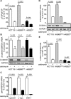 FIGURE 5: