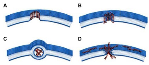 Fig. (1)