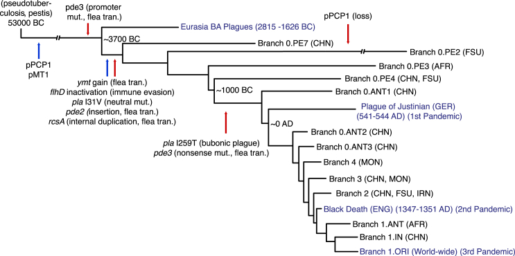 Figure 6