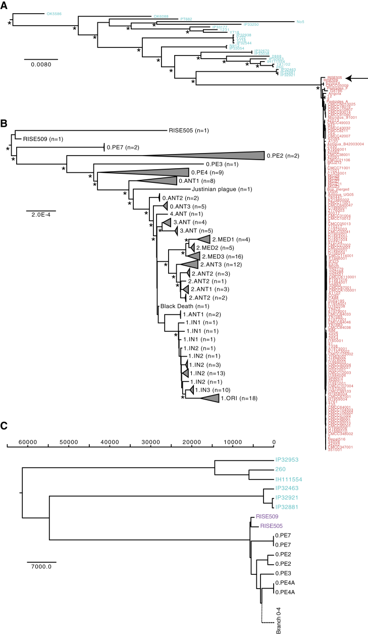 Figure 4