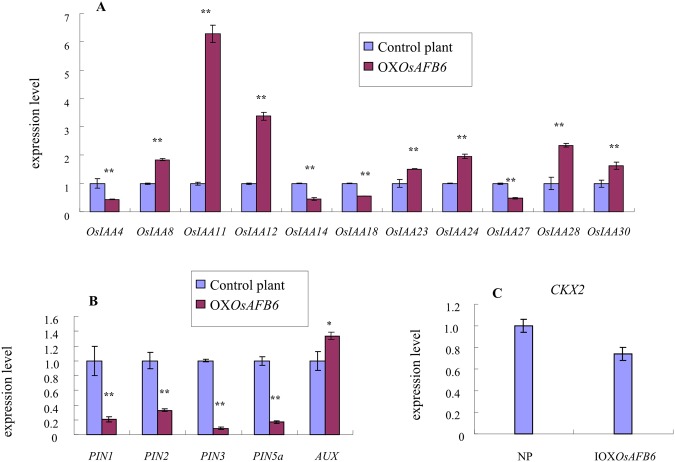 Figure 6