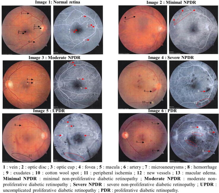 Fig. 2