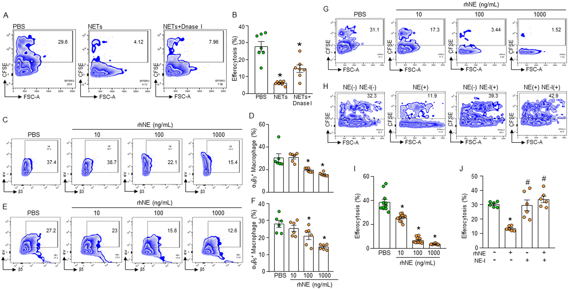 Figure 4: