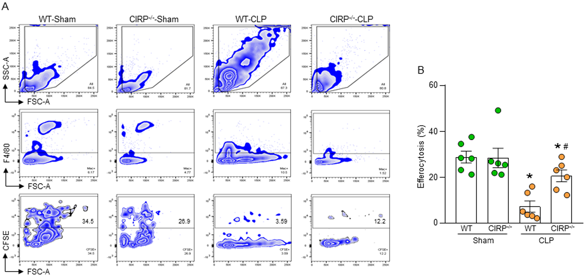 Figure 6: