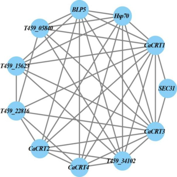 Fig. 3