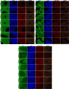 Fig. 14