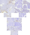 Fig. 12