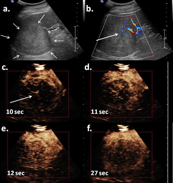 Fig. 5