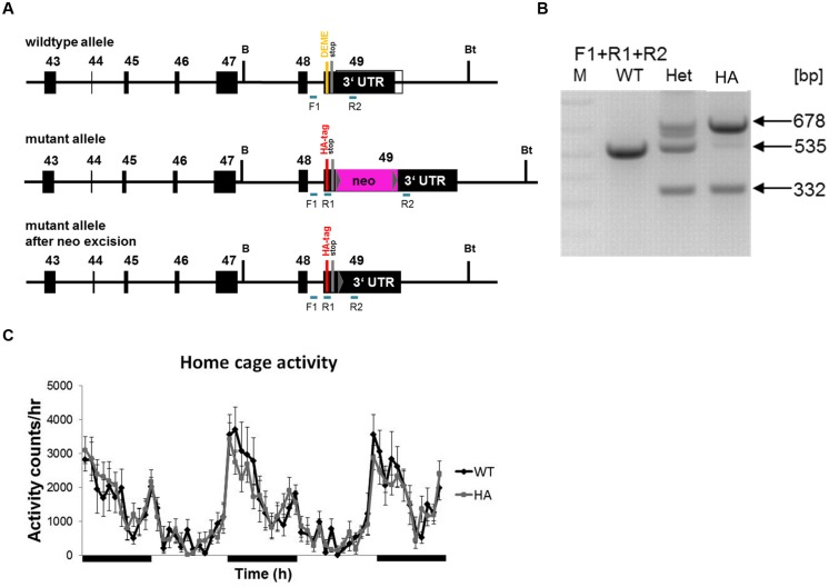 FIGURE 2