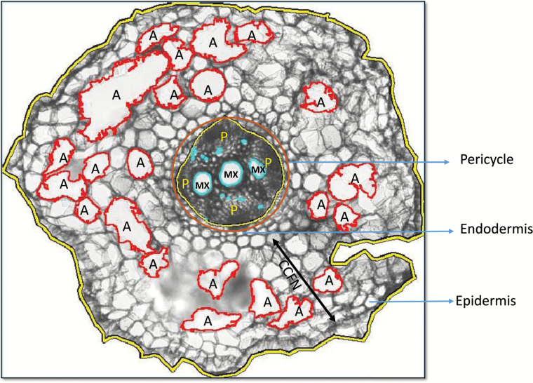 Fig. 1.