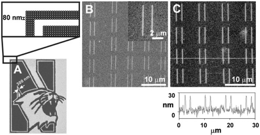 Figure 3.