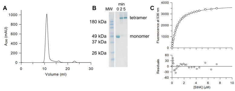 Figure 2.