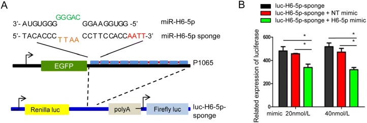 Fig. 2