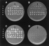 FIG. 3