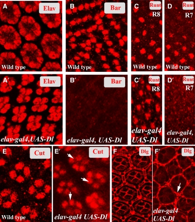 Figure 4a