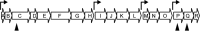 FIG 6