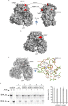 FIG 4