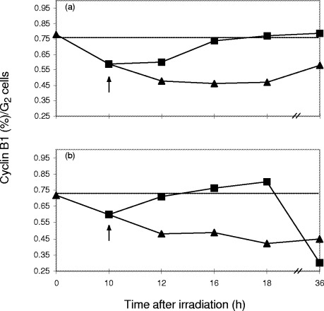 Figure 6(C)