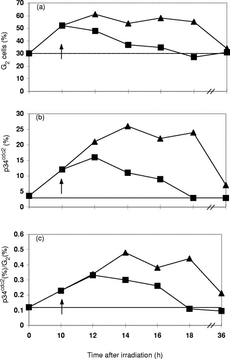 Figure 3(a)