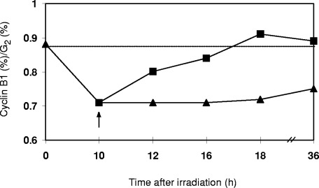 Figure 4(C)