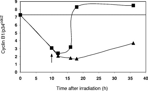 Figure 5(C)