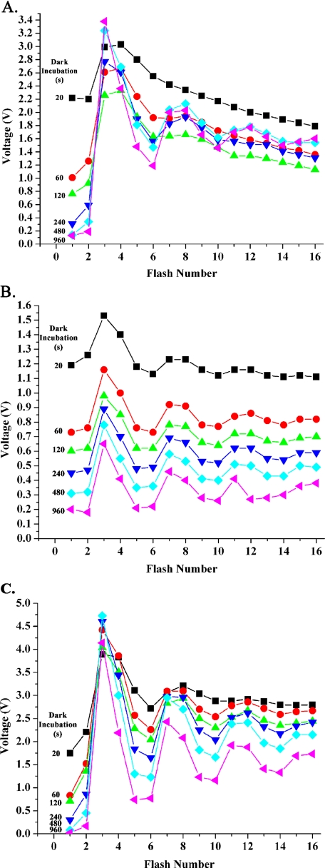 FIGURE 1.