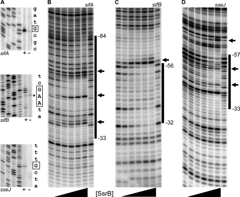 FIGURE 1.