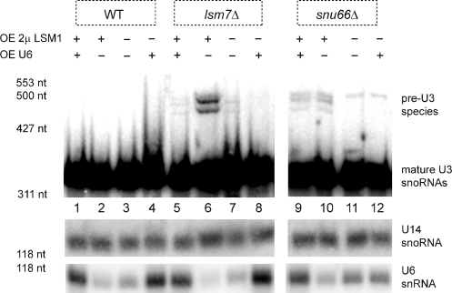 Figure 5.