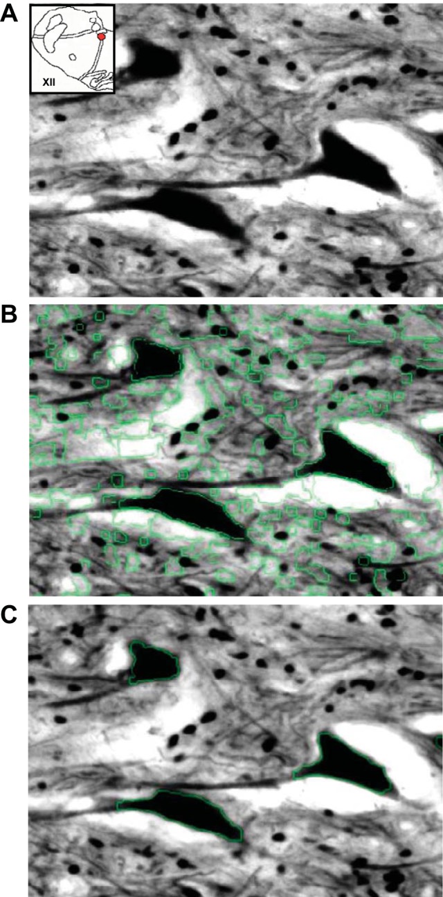 Fig. 2.