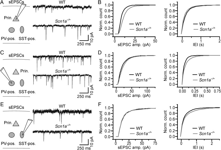 Figure 7.