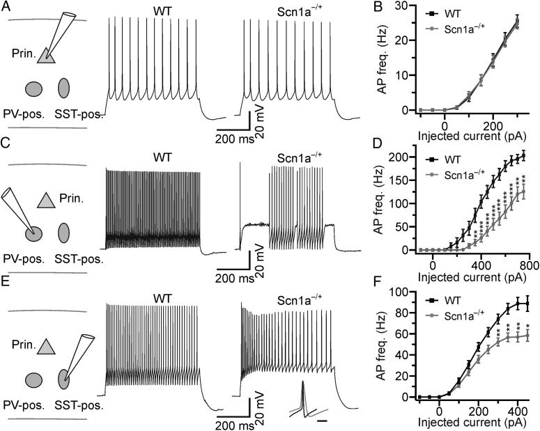 Figure 3.