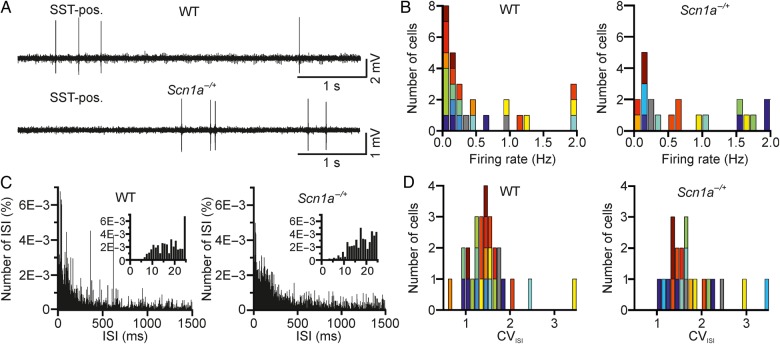 Figure 10.