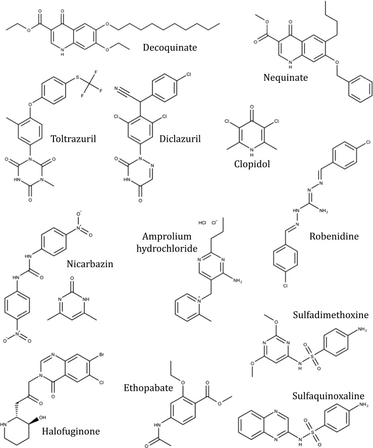 Fig. 2