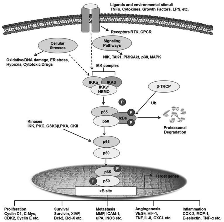 Fig. (2).