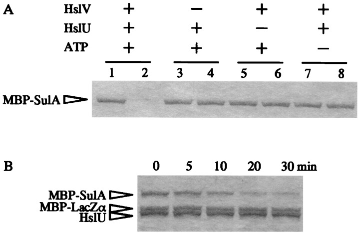 FIG. 5