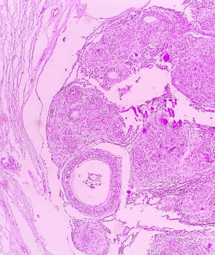 Fig. 8