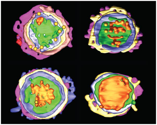 Fig 2