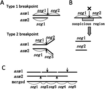 Fig. 7