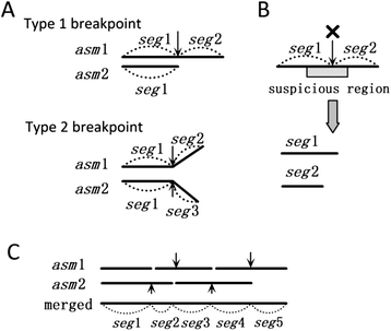 Fig. 7