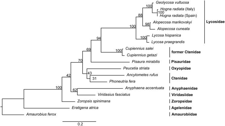 Figure 7.