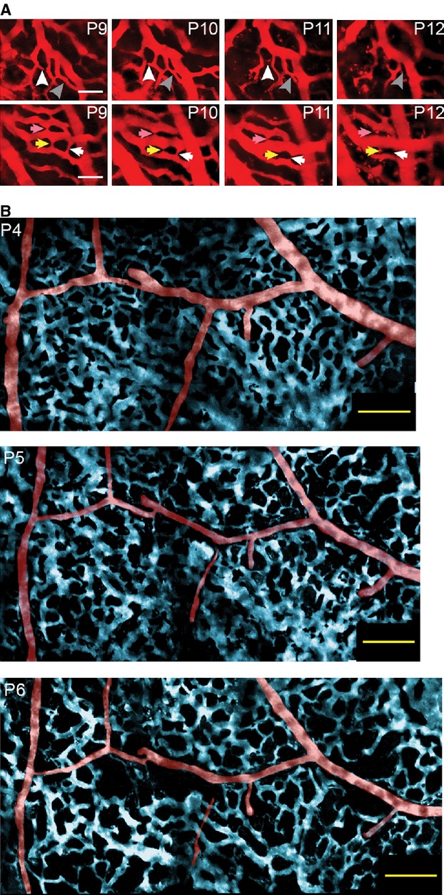 Figure 2.